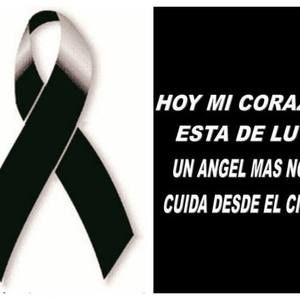 Meet your Posher, Jesus